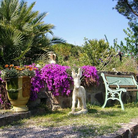 Mas Aurélia B&B Fréjus Kültér fotó