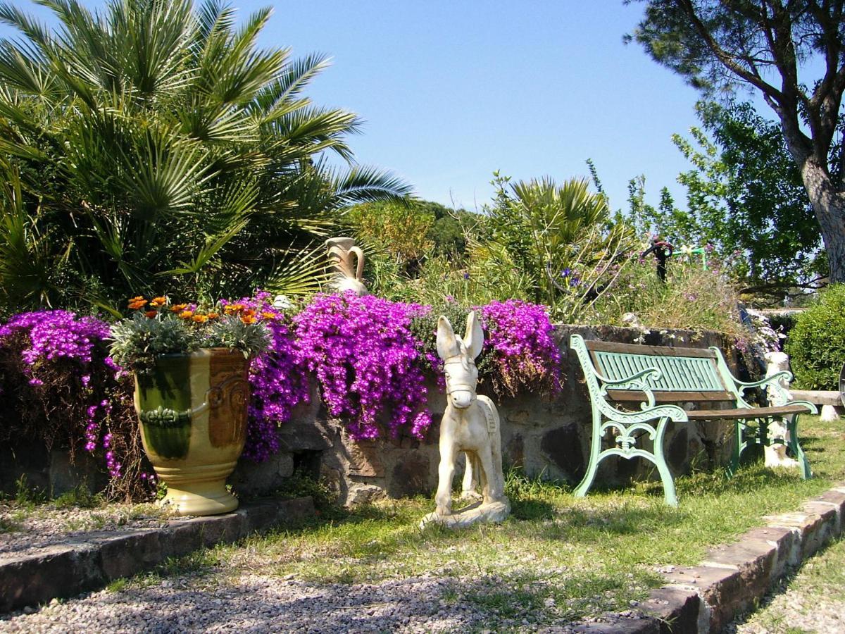 Mas Aurélia B&B Fréjus Kültér fotó